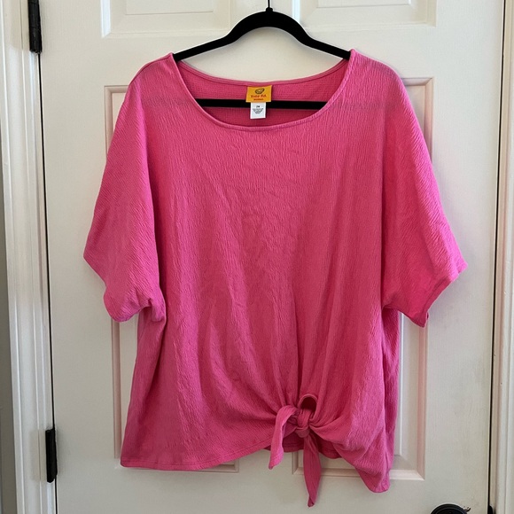 Ruby Rd. Tops - Ruby Rd pink gauze blouse size 2X